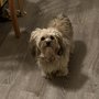 Photo of Country Pet Retreat