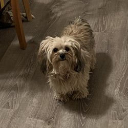 Country Pet Retreat
