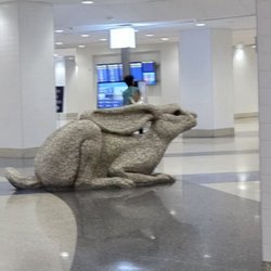 JetBlue - Sculpture of the local rabbit.