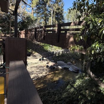 Novo - New American Near Me - San Luis Obispo, California