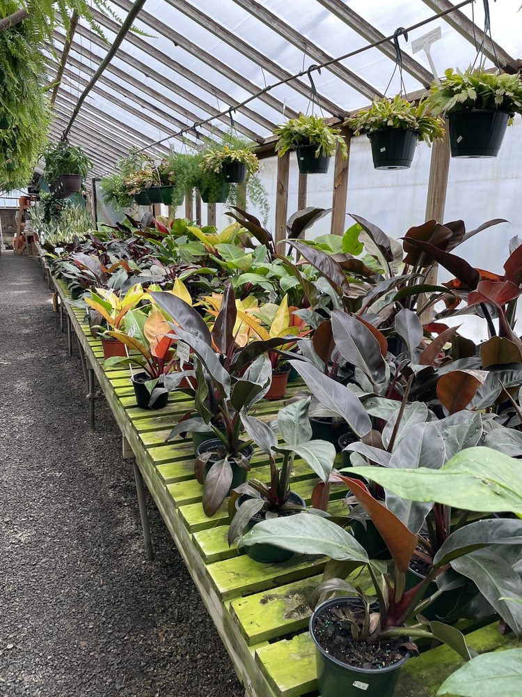 Oakdale Greenhouses