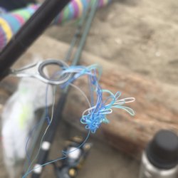 Coyote Bait and Tackle