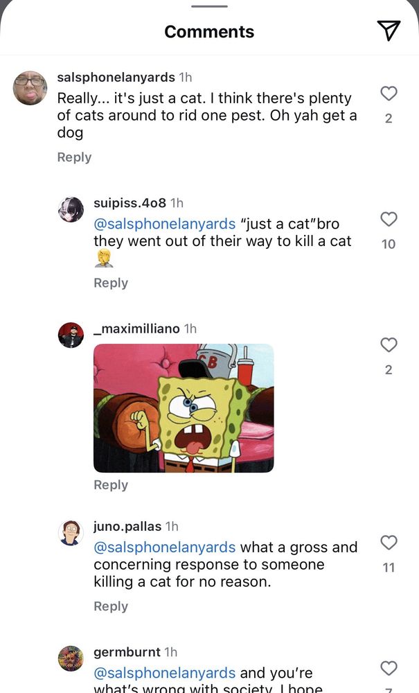 Sal's Custom Upholstery - upholstery in San Francisco, CA