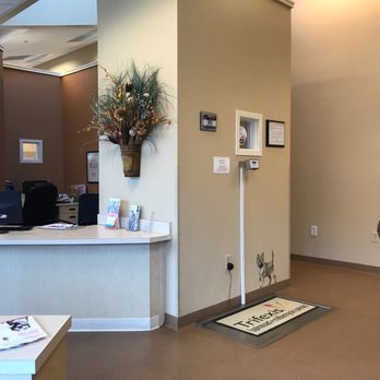 CareVet of Dames Point Crossing - The front office and check in! - Veterinarians Near Me - Jacksonville, Florida CareVet of Dames Point Crossing - The front office and check in! - Veterinarians Near Me - Jacksonville, Florida