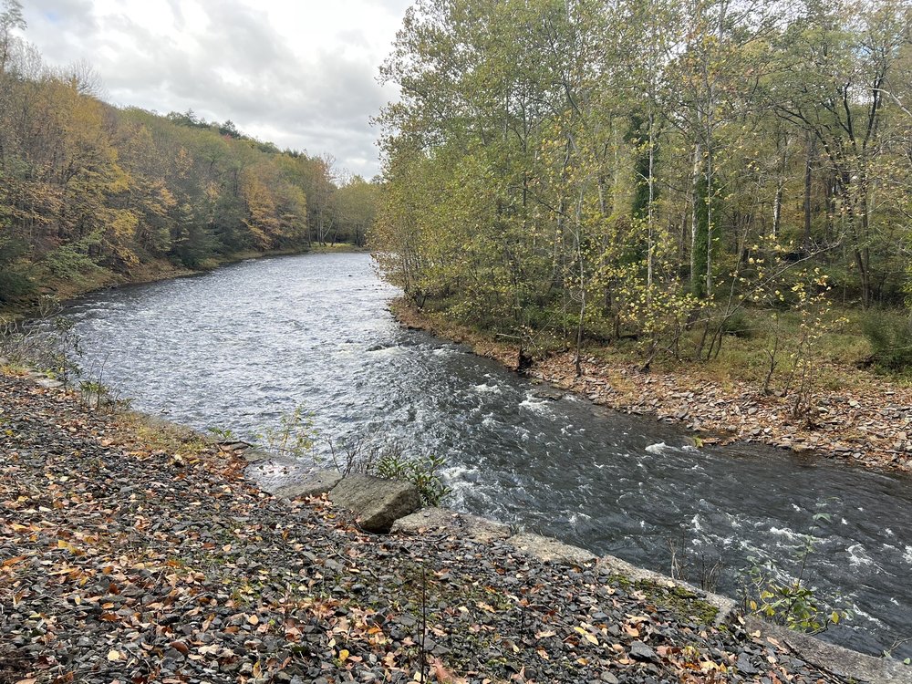 PENNSYLVANIA RAIL BIKE Updated August 2024 11 Photos 4 Columbus