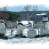 Cottage Place On Squam Lake gift card