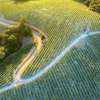 Ciao Wine Tours - Wine Tours Near Me