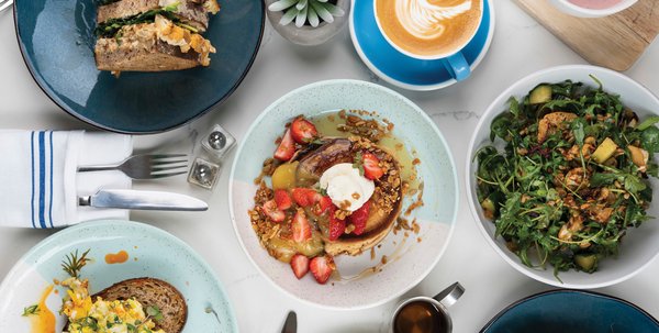 Bluestone Lane Harvard Square Café by null