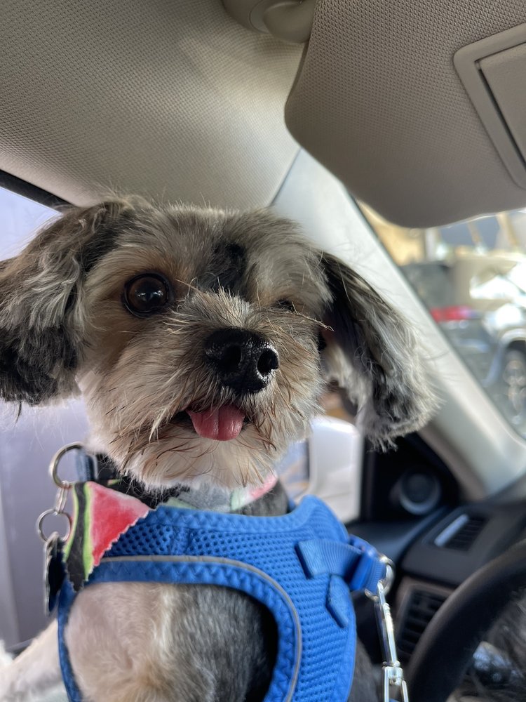 PERSONAL TOUCH PET CARE SALON & MOBILE GROOMING Updated October 2024