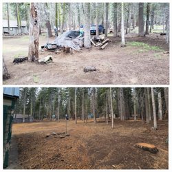 3:10 Timber Services - Before and after
