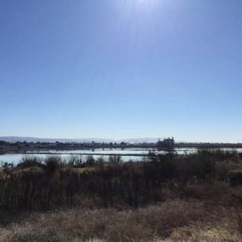 Hayward Regional Shoreline - Hiking Near Me - Hayward, California Hayward Regional Shoreline - Hiking Near Me - Hayward, California