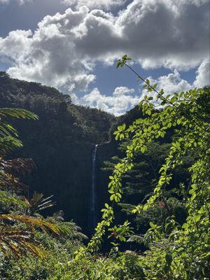 ʻAkaka Falls State Park by null