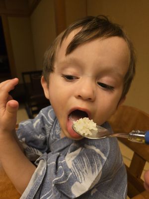 Nishiyama Onsen Keiunkan by null