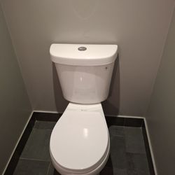 Bizarro Painting - Toilet installing
