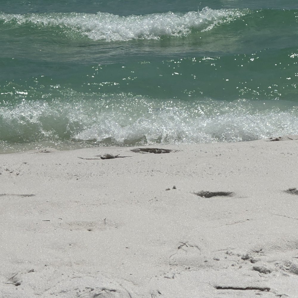Camp Gulf - Campgrounds Near Me - Destin, Florida Camp Gulf - Campgrounds Near Me - Destin, Florida