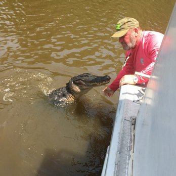 Ultimate Swamp Adventures - Tours Near Me - Westwego, Louisiana Ultimate Swamp Adventures - Tours Near Me - Westwego, Louisiana
