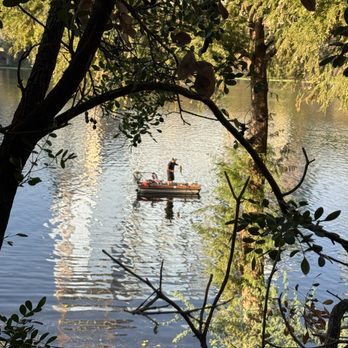 Capital Cruises - Someone caught a fish in Lady Bird Lake - Boat Charters Near Me - Austin, Texas