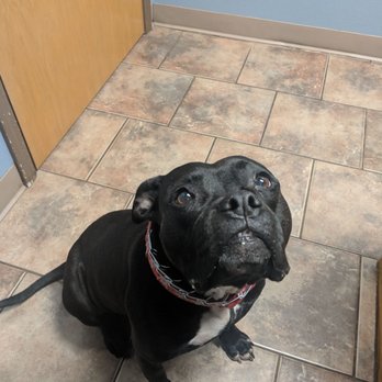 lowell veterinary clinic