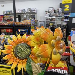 Dollar General