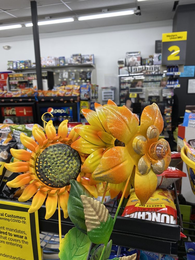 DOLLAR GENERAL Updated May 2024 3067 State Highway 9, Valatie, New York Discount Store