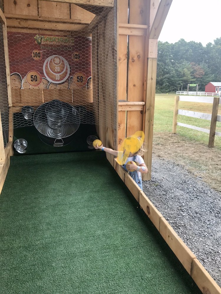 SAUCHUK FARM TEMP. CLOSED Open for Business 13 Photos & 31