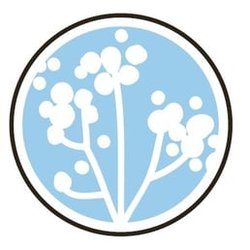 Alamo Dental Excellence