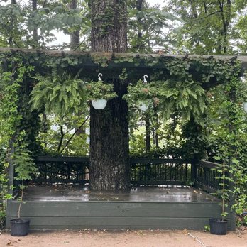 TN Nursery - Nurseries & Gardening Near Me - Altamont, Tennessee TN Nursery - Nurseries & Gardening Near Me - Altamont, Tennessee