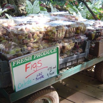Ed Lester Farms - Figs, anyone? There's more where this came from! And they're available, as the sign says, in LSU purple! Go Tigersl - Farmers Market Near Me - Coushatta, Louisiana Ed Lester Farms - Figs, anyone? There's more where this came from! And they're available, as the sign says, in LSU purple! Go Tigersl - Farmers Market Near Me - Coushatta, Louisiana