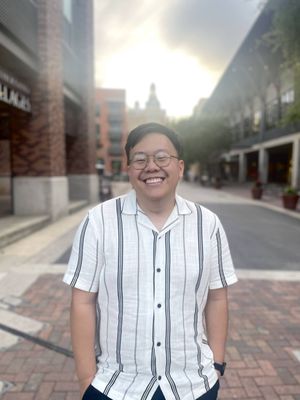 Internal Insights Therapy