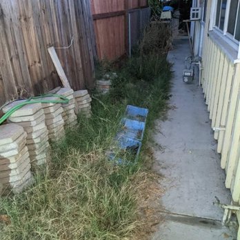 Gilberto Garden Landscape,tree Triming and Removal - Before - Gardeners Near Me