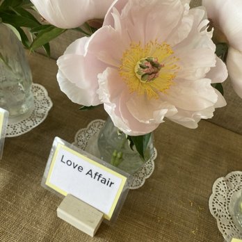 Adelman Peony Gardens - Nurseries & Gardening Near Me - Salem, Oregon