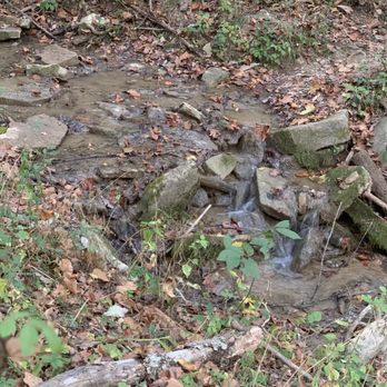 Boone Cliffs State Nature Preserve - The creek. - Hiking Near Me - Burlington, Kentucky