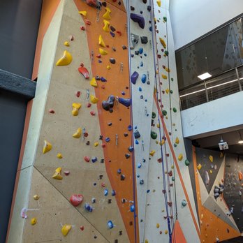 Rox Climbing Gym - Rock Climbing Near Me - Orlando, Florida Rox Climbing Gym - Rock Climbing Near Me - Orlando, Florida