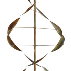 Steffich Fine Art Gallery - Wind Dancer