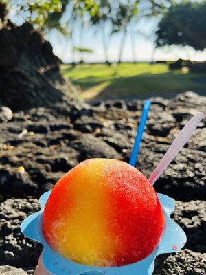 Scandinavian Shave Ice by null