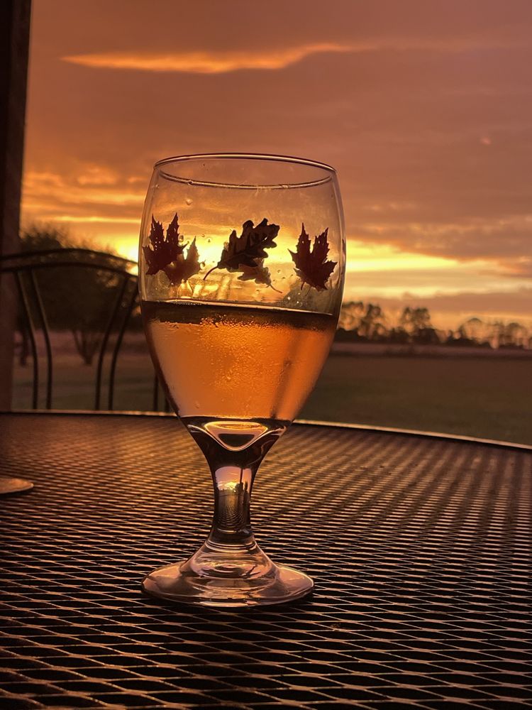 McIntyre's Winery & Berries - vineyard in Bardstown, KY