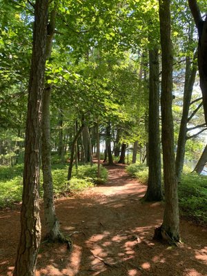Ludington State Park Beach by null