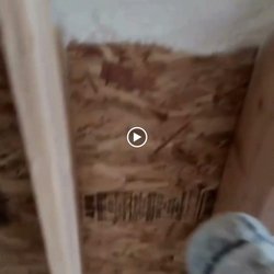 Healthy Homes Insulation