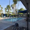 Desert Paradise gift card
