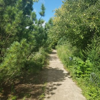 The 606 - Bloomingdale Trail - Parks Near Me - Chicago, Illinois
