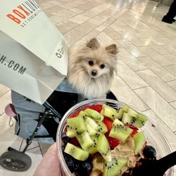 Bearies Acai - Westfield Topanga - Eyeing my acai bowl until he gets his blueberry!