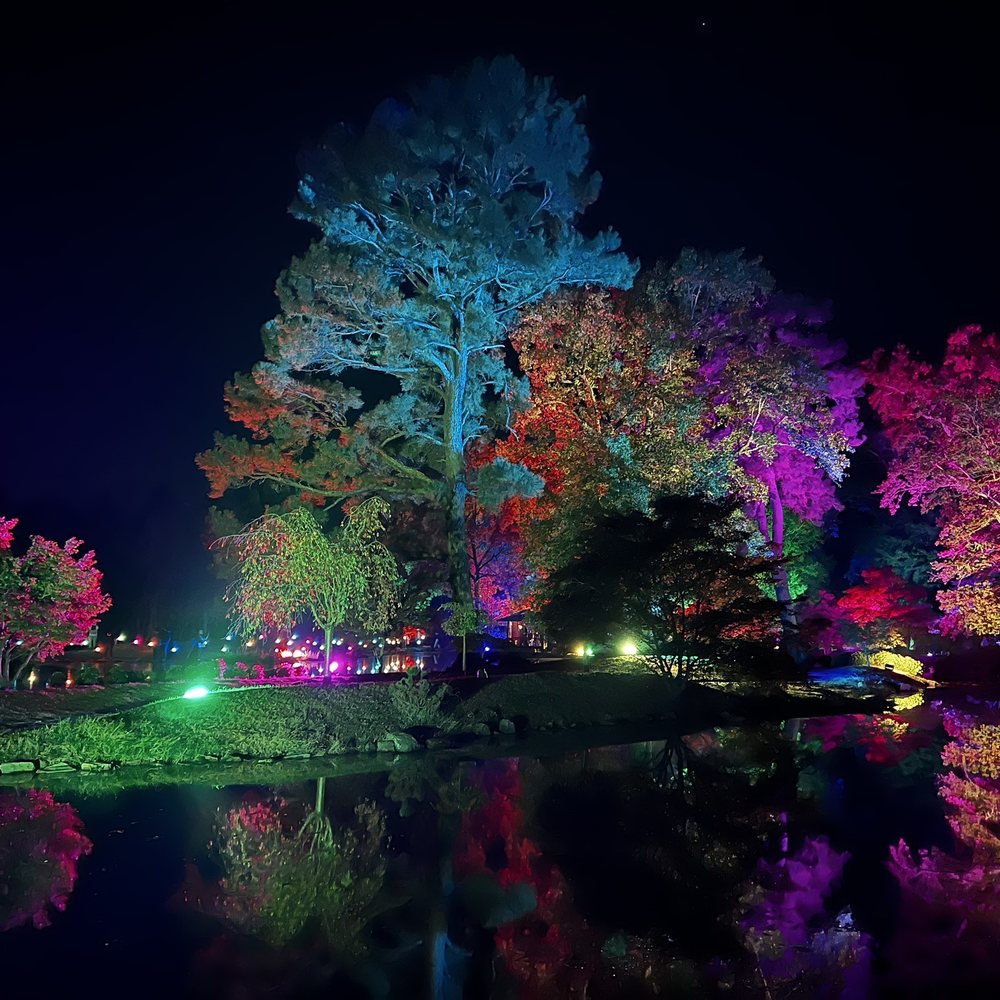 Maymont - Japanese Garden during Garden Glow at Maymont - Parks Near Me - Richmond, Virginia