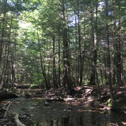 Amethyst Brook Conservation Area