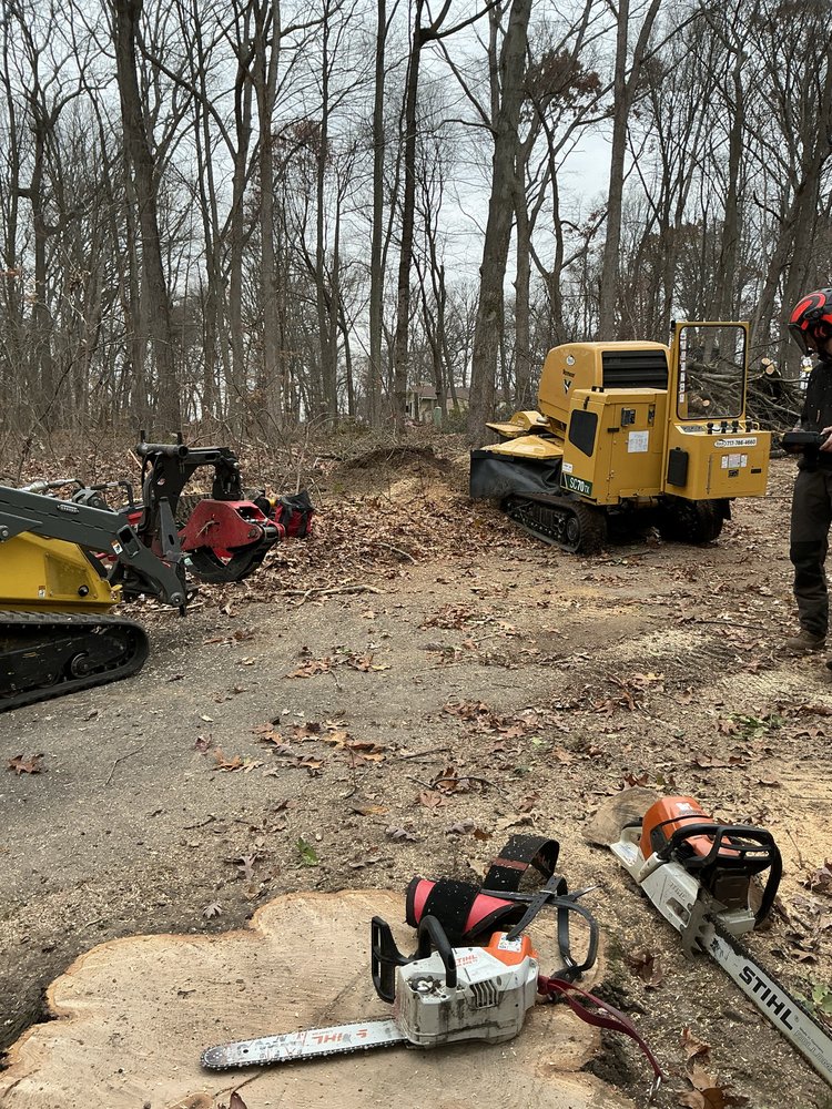 Greater View Tree Service - tree service in Holtwood, PA