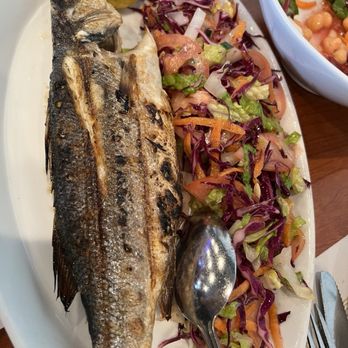 Elmas - Bronzino - Turkish Near Me - Parsippany-Troy Hills, New Jersey Elmas - Bronzino - Turkish Near Me - Parsippany-Troy Hills, New Jersey