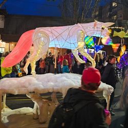 Procession Of The Species