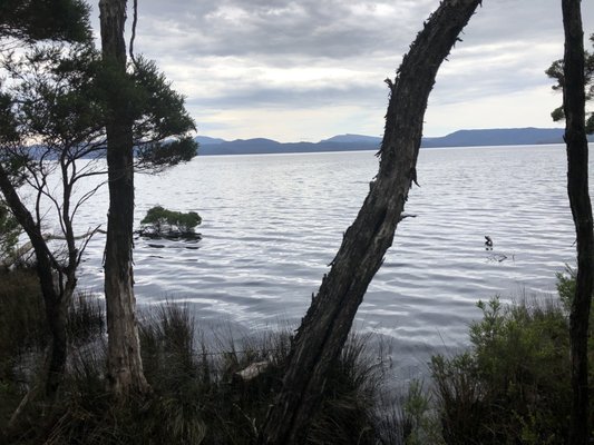 World Heritage Cruises by null