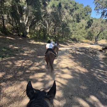 Central Coast Trailrides - Being lead by great guide - Horseback Riding Near Me Central Coast Trailrides - Being lead by great guide - Horseback Riding Near Me