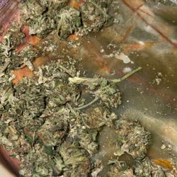 Natures Herbs & Wellness - Greeley Rec - Bad graining flower