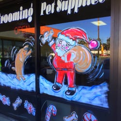 Murals a go go - Daryl's PET SHOP Redlands, CA